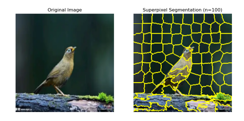 Cover Image of the Post